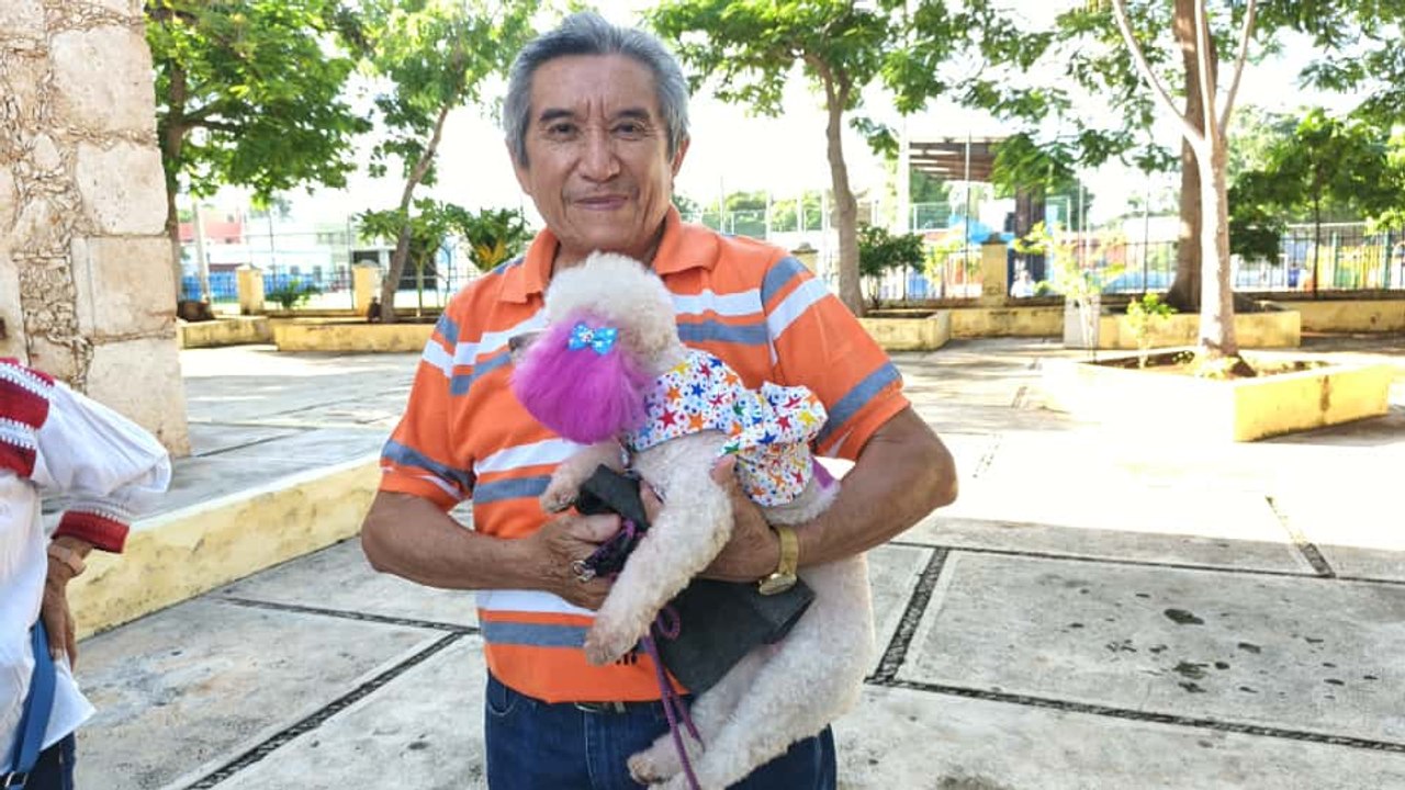 Bendicen a mascotas en San Sebastián durante las fiestas de San Francisco