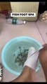 fish foot spa gone wrong