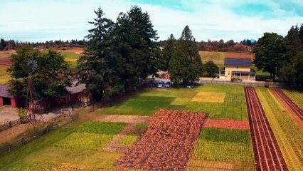 R.L. STINE'S PUMPKINHEAD Official Trailer (2025)