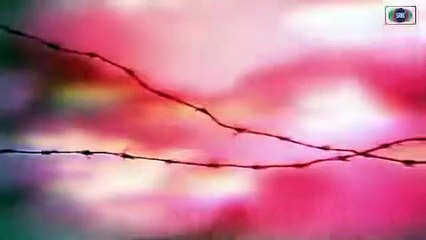 Jangloos..Episode.10.. Classic PTV Famous Drama 🎭