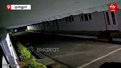 ஹலோ யாராச்சும் இருக்கீங்களா? வீட்டின் கதவை தட்டிய கரடி!