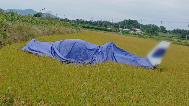 [단독] 경기 화성시 비행장에서 경비행기 추락...국토부 조사 착수 / YTN