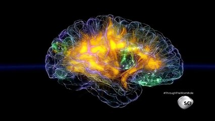 Through The Wormhole Season 6 Episode 6 Why Do We Lie? | Morgan Freeman