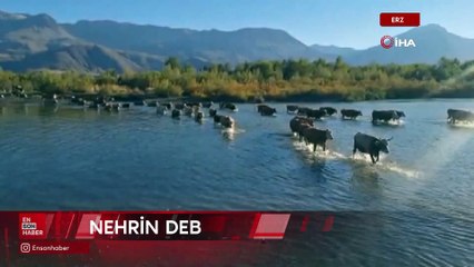Erzincan'da kuraklık nedeniyle nehrin debisi büyük oranda düştü