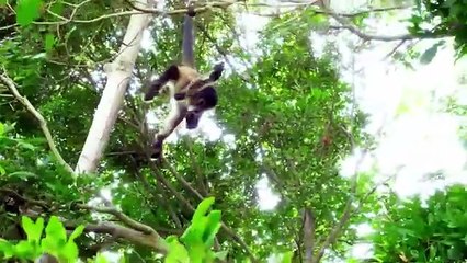 Roma_and_Diana_learn_the_alphabet___ABC_song(360p).mp4