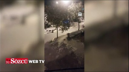 Aç kalan yaban domuzları ilçe merkezine indi