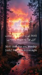 “True direction begins when the heart bows to the Creator. #StraightPath #QuranWisdom #Yaseen61”