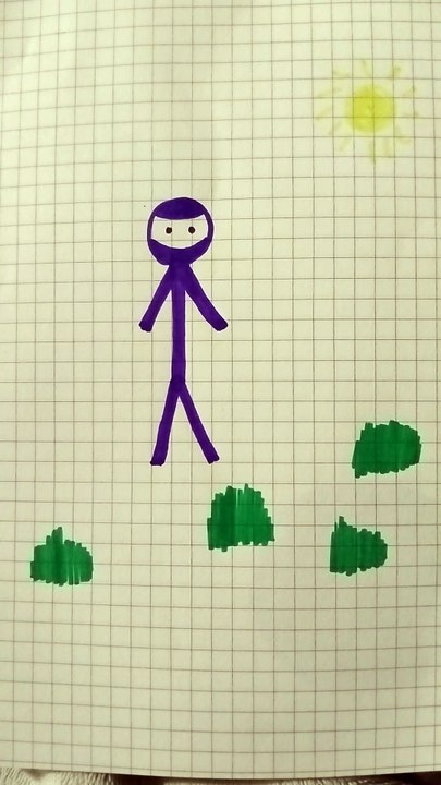 Ninja