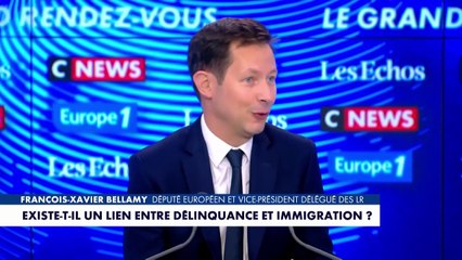 «François-Xavier Bellamy à l’échafaud» : le vice-président des LR assure que «la gauche n’a pas renoncé à cette pulsion totalitaire qui a marqué son histoire»