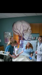 Doctors saves infuencer , but gets harassed by the other’s fans…#movie #film #shorts