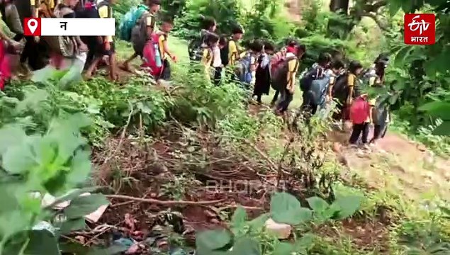 शाळेपर्यंत जाण्याचा खडतर प्रवास; ‘पायी पायी पाढे’ म्हणत विद्यार्थी करतात हिंस्त्र प्राण्यांपासून स्वत:चं रक्षण