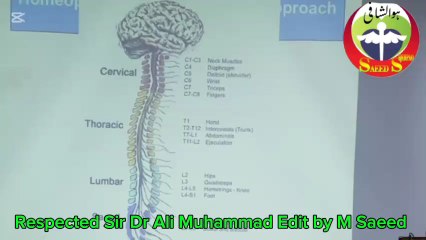 Cervical Spine and it's Treatment