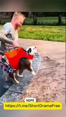 Pregnant As The Boss's Secret Wife