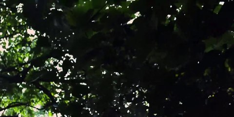 War Survival Drama 2025  A Silent Battle in the Jungle - Full Movie Based on True Events