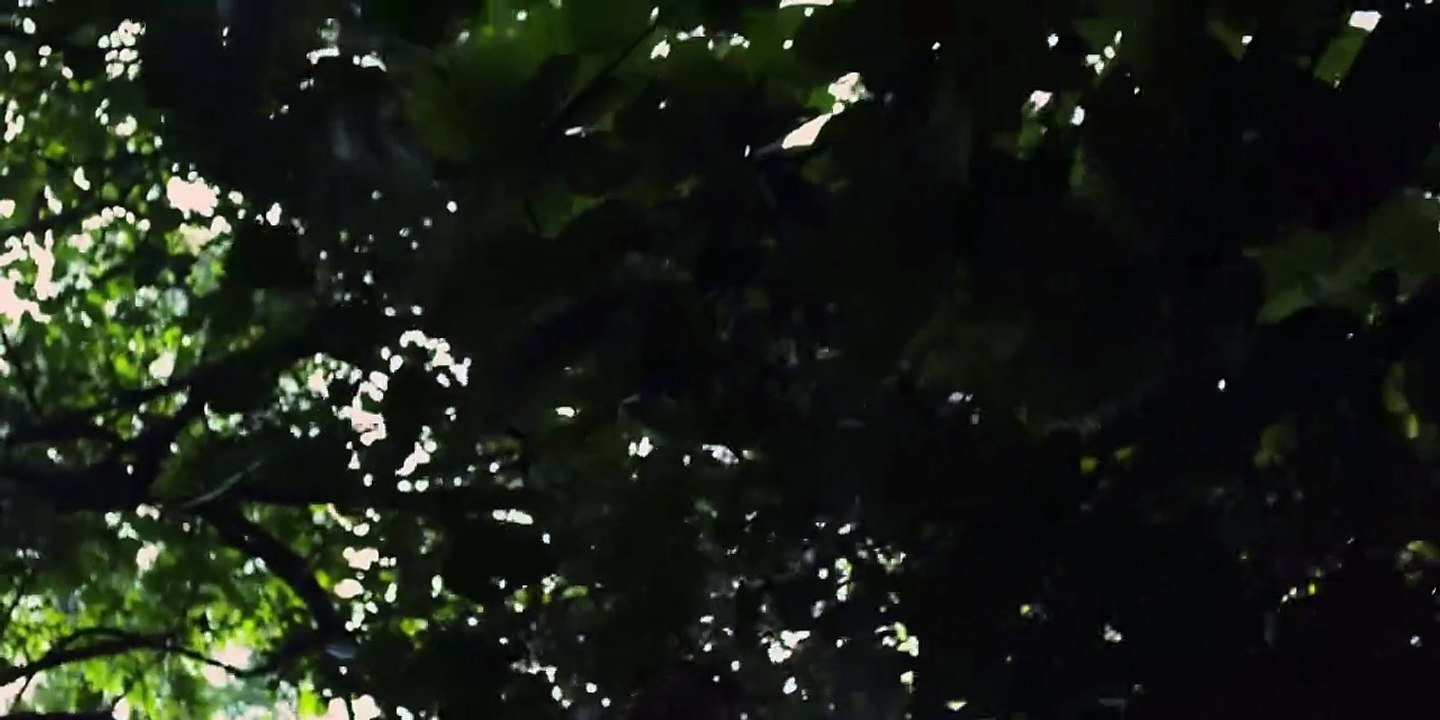 War Survival Drama 2025  A Silent Battle in the Jungle - Full Movie Based on True Events