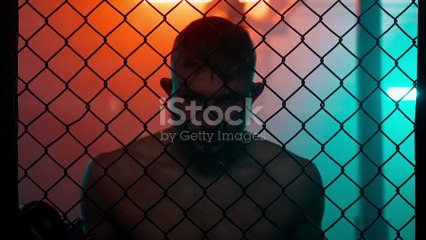 UFC 320 Highlights | Ankalaev vs Pereira 2 Title Fight Recap