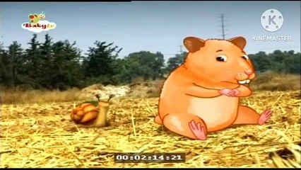 Baby Tv10 12 2014 05 47 38