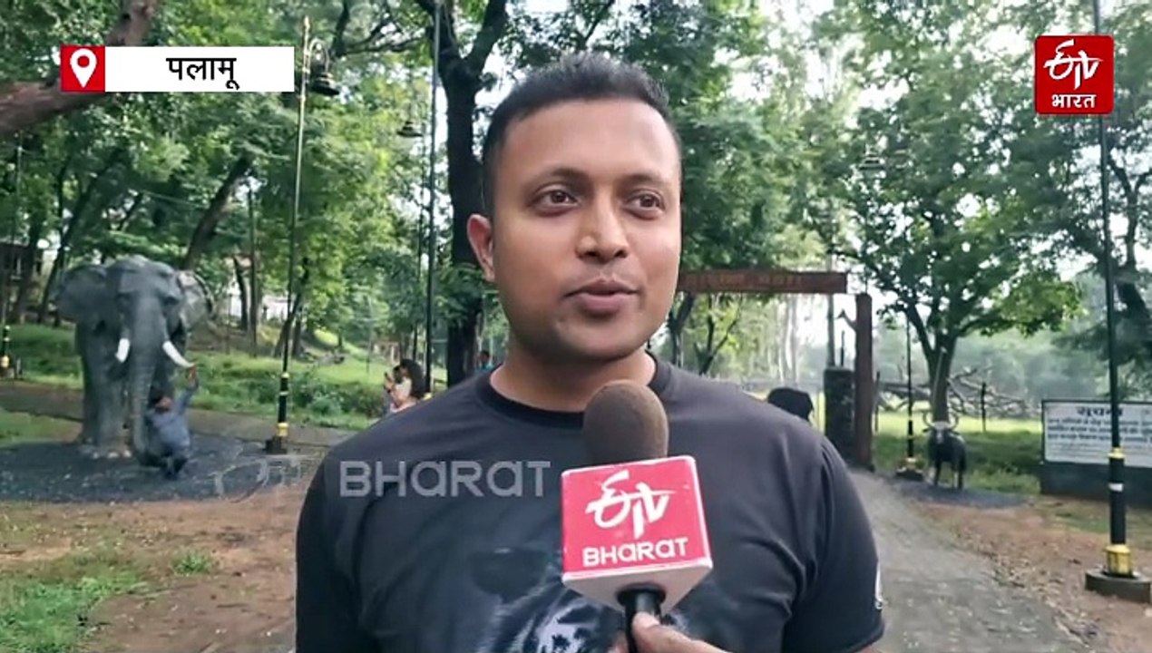 तीन महीने बाद पर्यटकों के लिए खोला गया बेतला नेशनल पार्क, बारिश से हुआ है भारी नुकसान