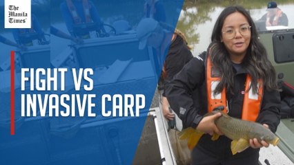 Canada patrols Great Lakes to fight against 'eating machine' carp