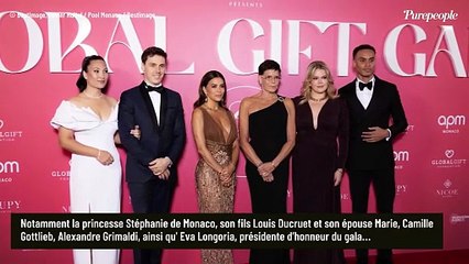 Stéphanie de Monaco, Louis et Marie Ducruet et Alexandre Grimaldi réunis face à Vitaa pour une grande première
