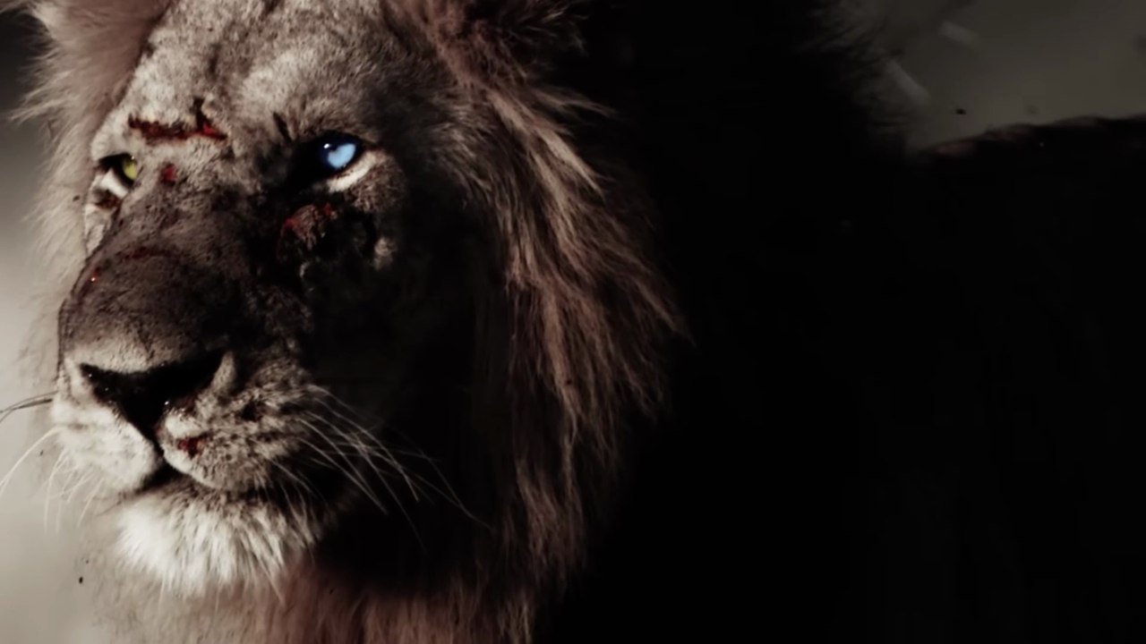 The Bastard King - Born to Rule - New Lion Full Documentary- HD 1080p
