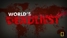 World's Deadliest Compilation - Die Hard - HD 1080p