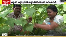 ജൈവപച്ചക്കറി കൃഷിയിൽ വിജയഗാഥ രചിച്ച് ഇടുക്കിയിൽ നിന്നും രണ്ട് യുവ കർഷർ