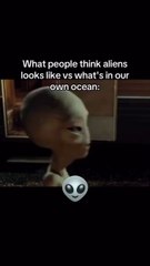 Imagine whats in the cold oceans of Europa.