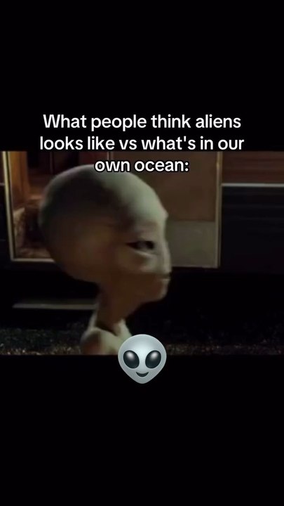 Imagine whats in the cold oceans of Europa.