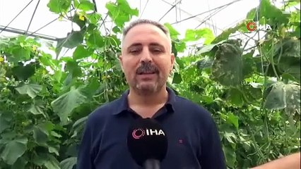 İlçede sera olmadığını görünce devlet desteğiyle kendi işinin patronu oldu!