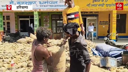 यमुनानगर की छछरौली अनाज मंडी में छापेमारी, सीएम फ्लाइंग टीम की रेड से आढ़तियों में मची खलबली