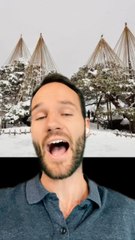 Des ARBRES SAUVÉS au JAPON ! 🤯🥶