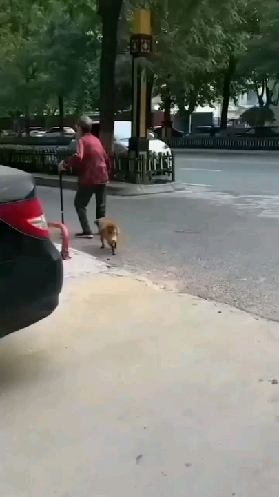 Hello guys please follow up for more