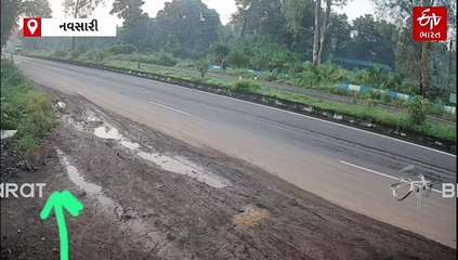 વાંસદા સ્ટેટ હાઇવે પર દિવસના અજવાળામાં દીપડો રસ્તો ઓળંગતો CCTVમાં કેદ, વીડિયો વાયરલ