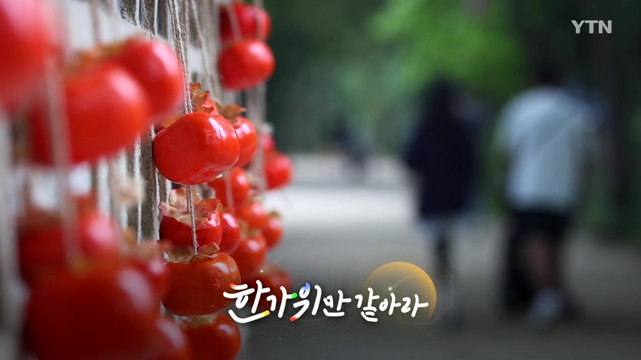 [영상] 더도 말고 덜도 말고 한가위만 같아라 / YTN