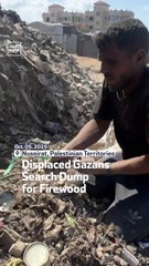Displaced Gazans Search Dump For Firewood