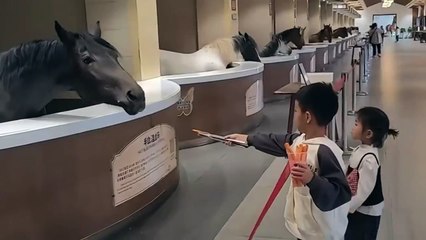 Beaucoup trop de politesse entre ces enfants et ce cheval