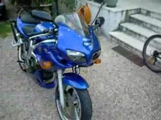 SV 650S pot Devil magnum