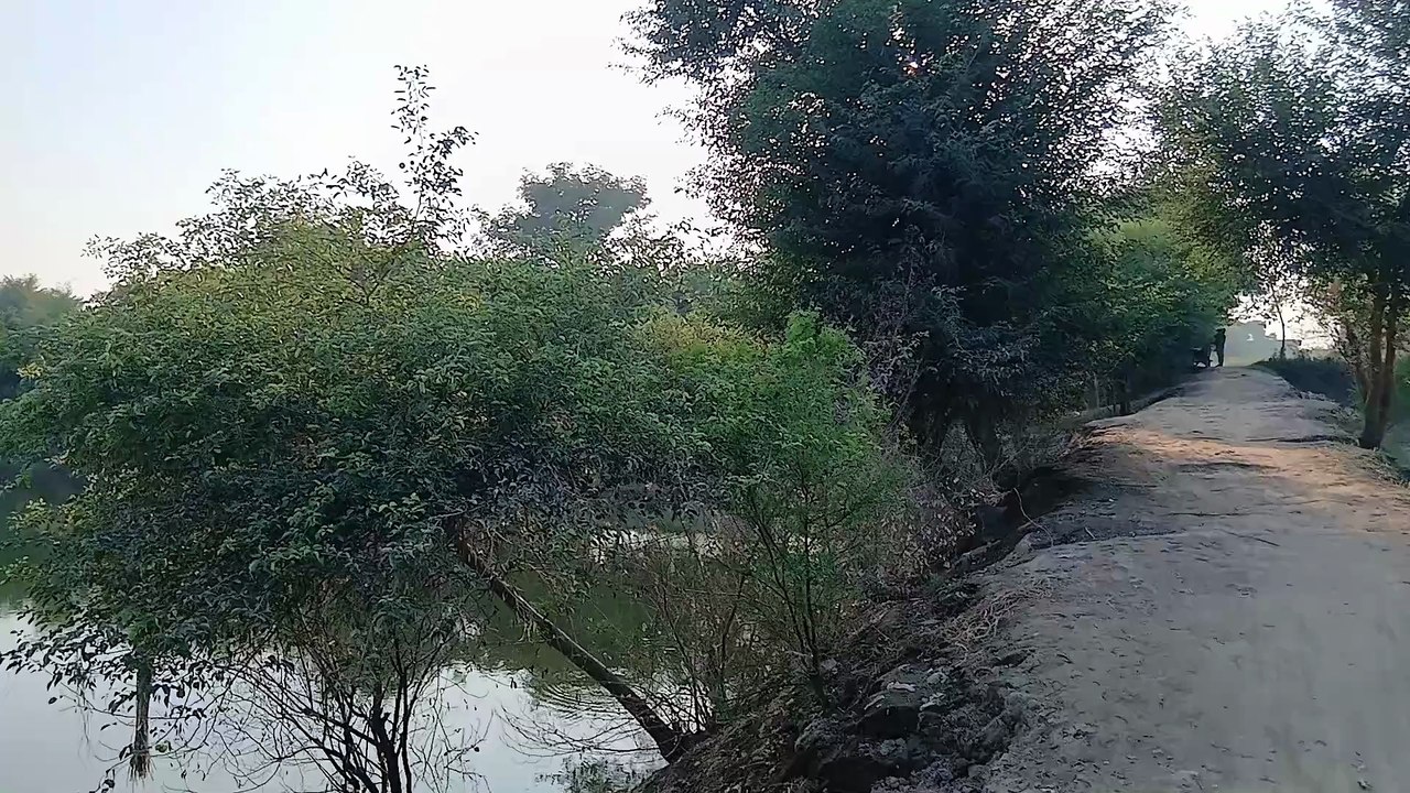 Pond built between agricultural lands