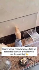 **Mission : Possible, ou pas !**