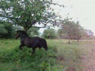 Séance de Défoulement Quotidienne pour une Forme au Top 💪