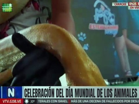 Vpdta. Delcy Rodríguez: Venezuela es un país de tolerancia cero hacia el maltrato de los animales