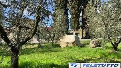 Video News - Mille ulivi da "adottare" sul Garda