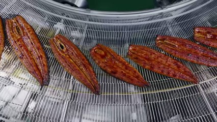 Inside Japans Most Bizarre Seafood Farm!!