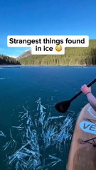 Strangest things found in ice