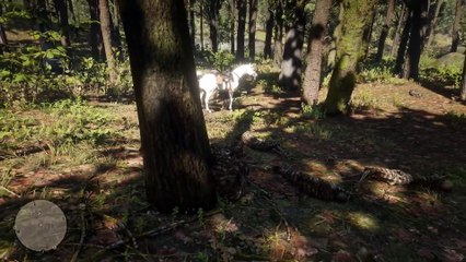 8. Do Not Fall For The Trap By The Developers in RDR2