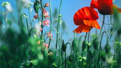 “Depressão: Quando a alma grita em silêncio, Deus responde no escuro.”