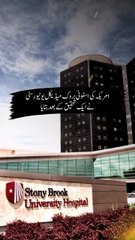 What happens after Life