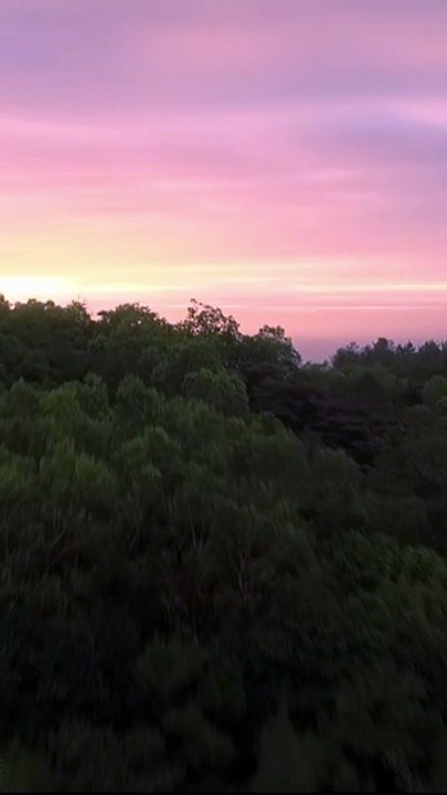 Evening Breeze