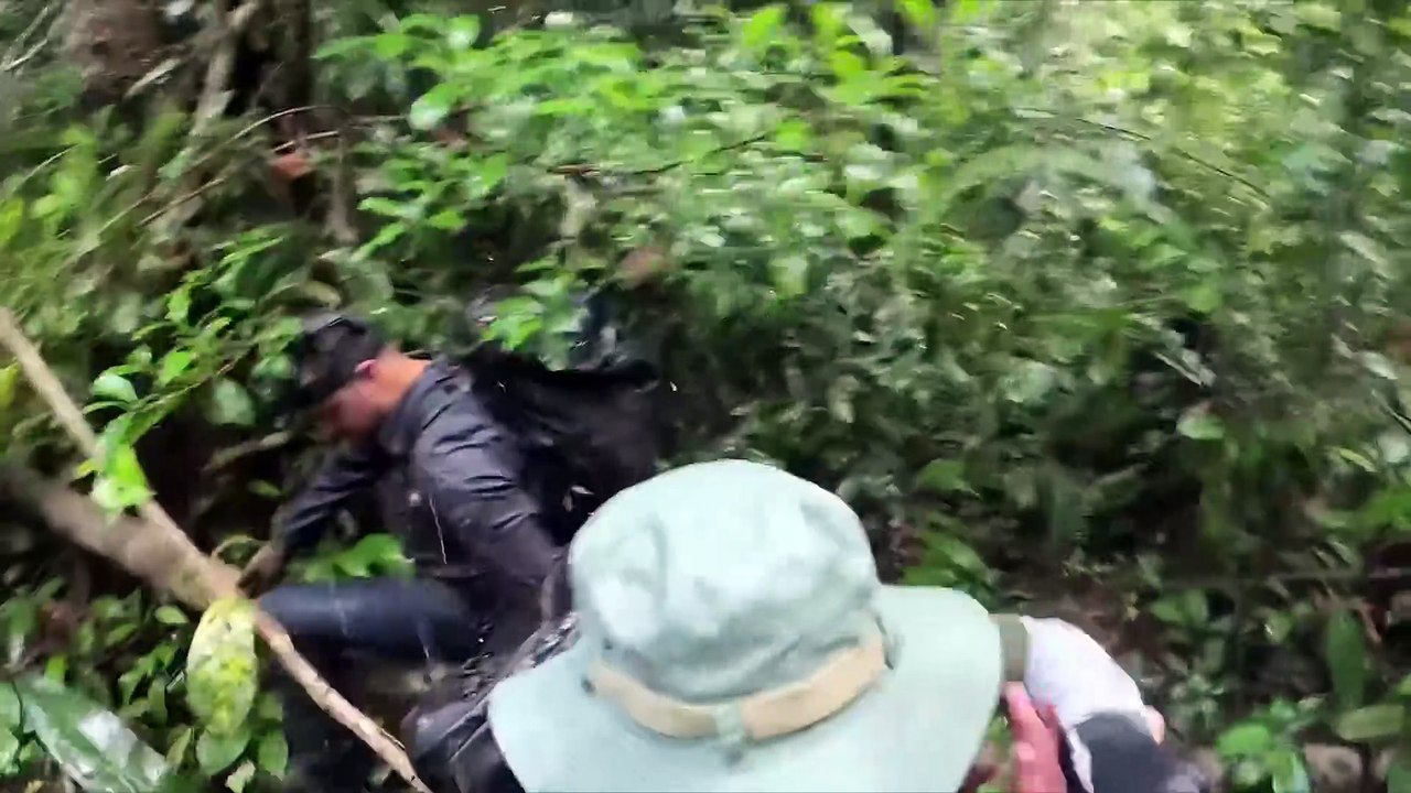 Amazonas | show | 2025| S5 | Official Trailer